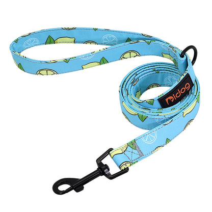 Fruity Nylon Leash