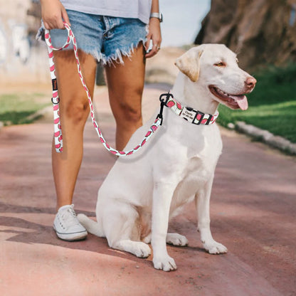 Fruity Nylon Leash