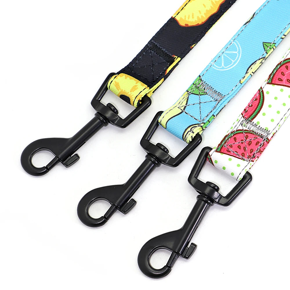 Fruity Nylon Leash