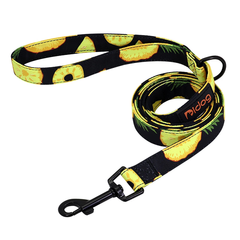 Fruity Nylon Leash