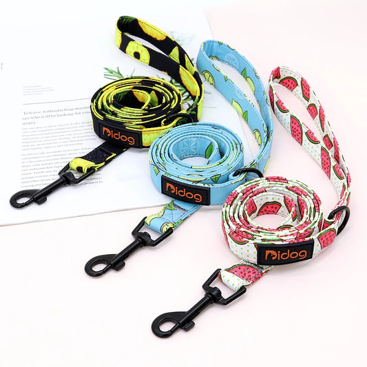 Fruity Nylon Leash