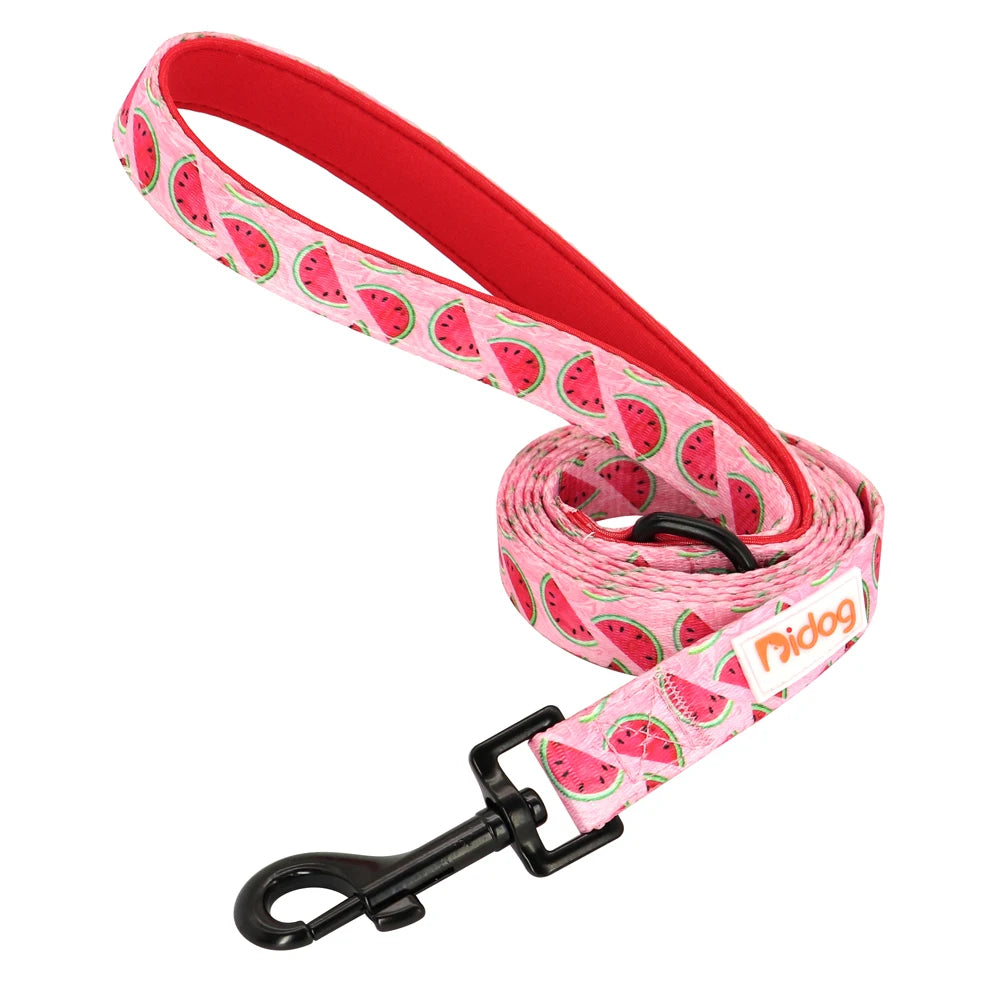 Soft Padded Leash