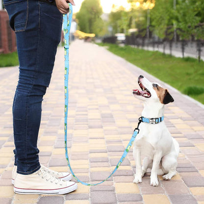 Fruity Nylon Leash