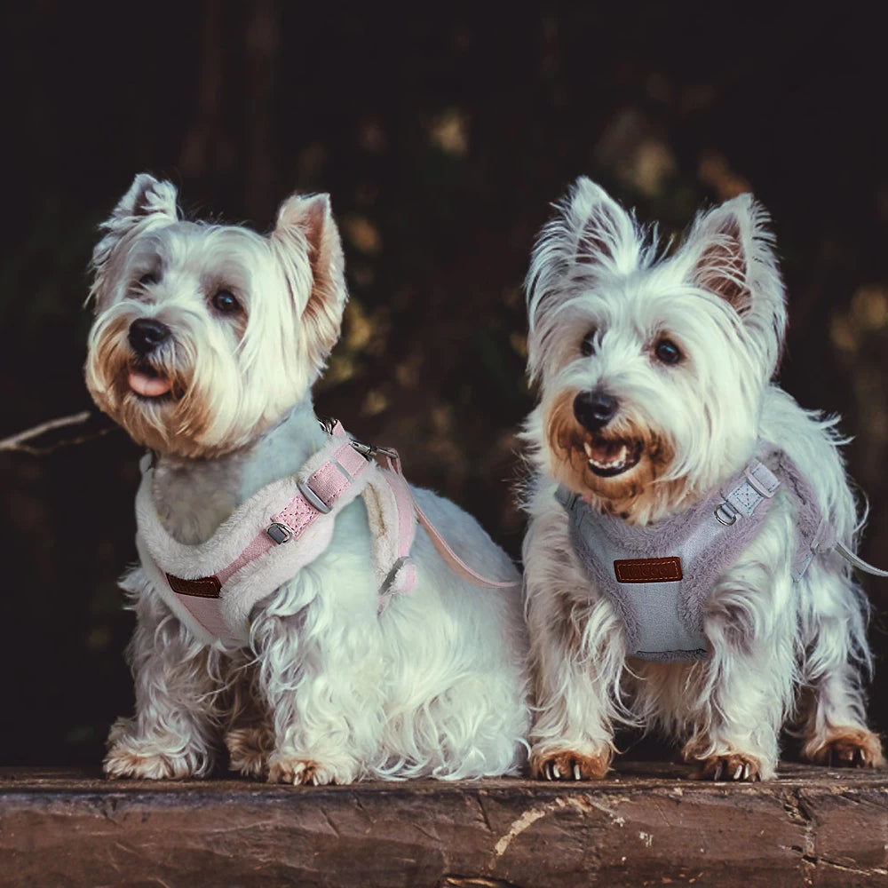 FurLuxe Harness & Leash Set