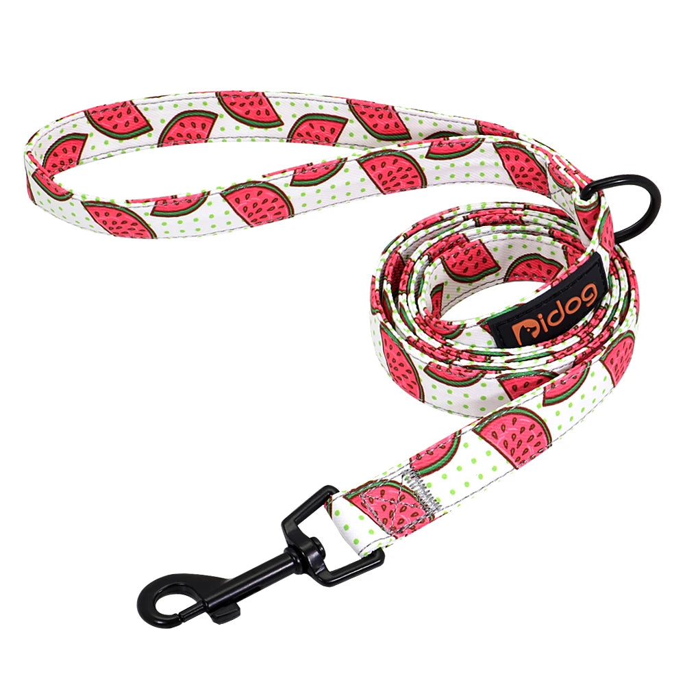 Fruity Nylon Leash