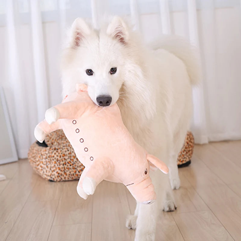 Plush Piggy Dog Toy