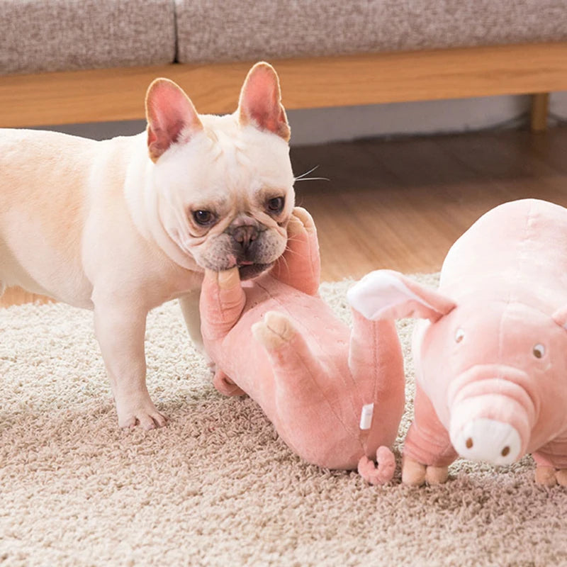 Plush Piggy Dog Toy