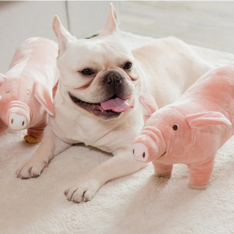 Plush Piggy Dog Toy