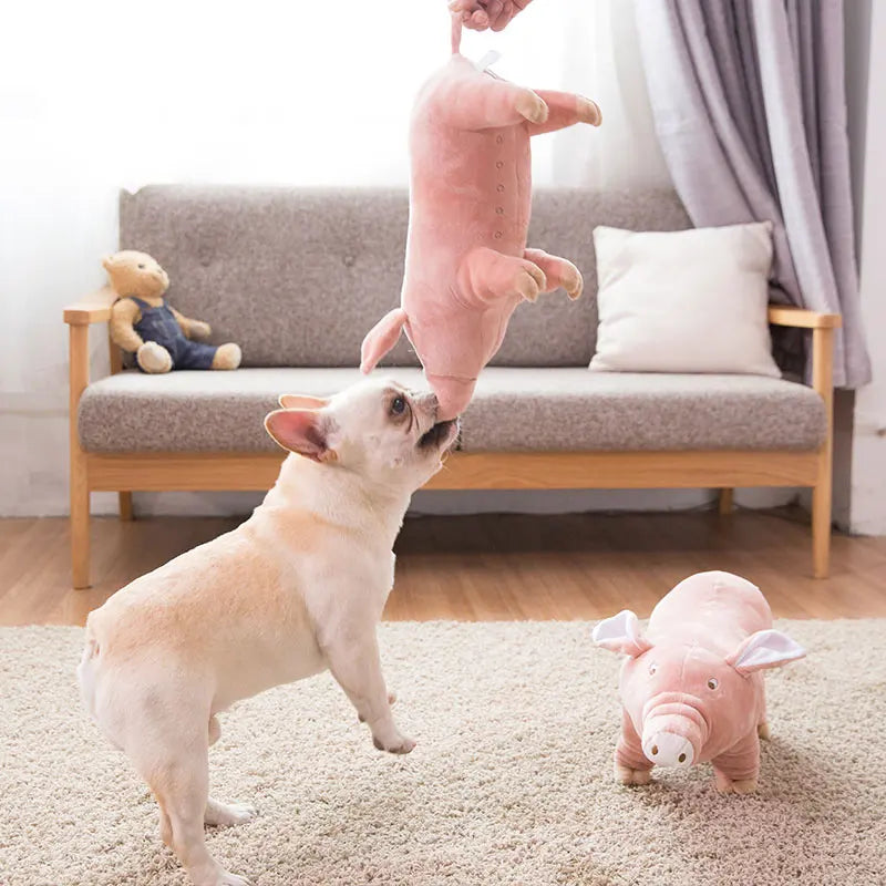 Plush Piggy Dog Toy