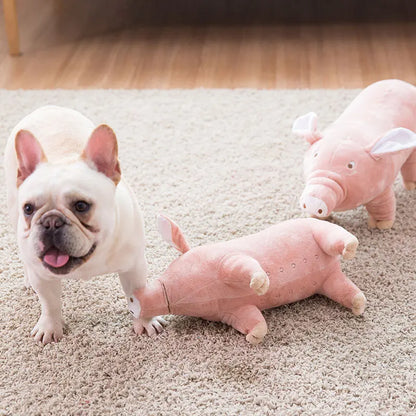 Plush Piggy Dog Toy