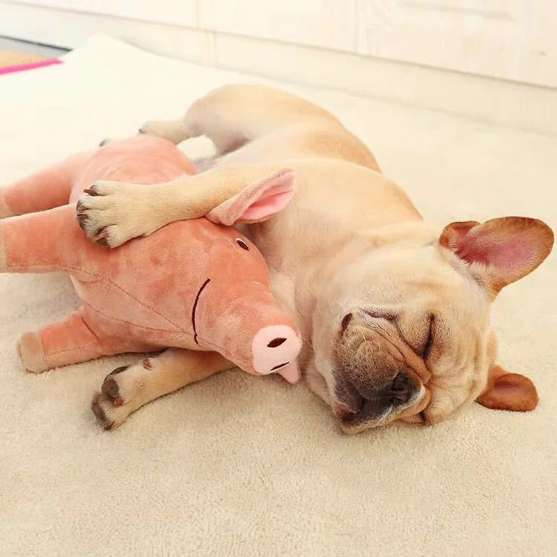 Plush Piggy Dog Toy