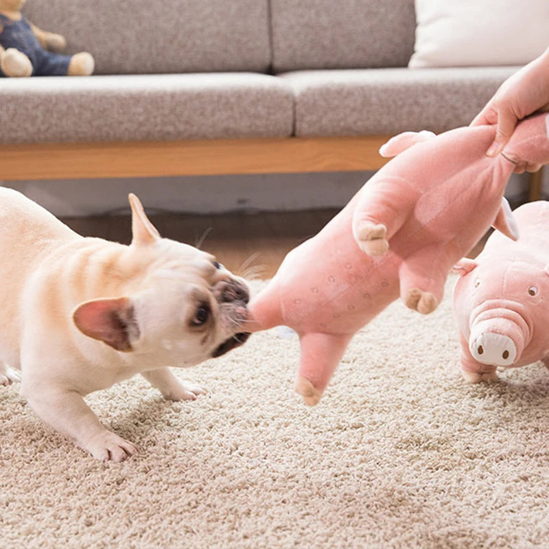 Plush Piggy Dog Toy