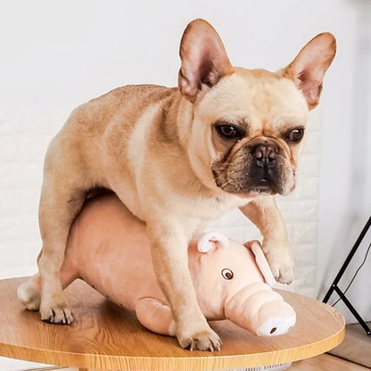 Plush Piggy Dog Toy