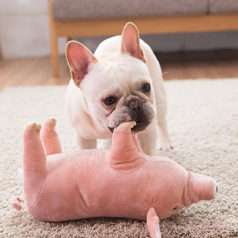 Plush Piggy Dog Toy