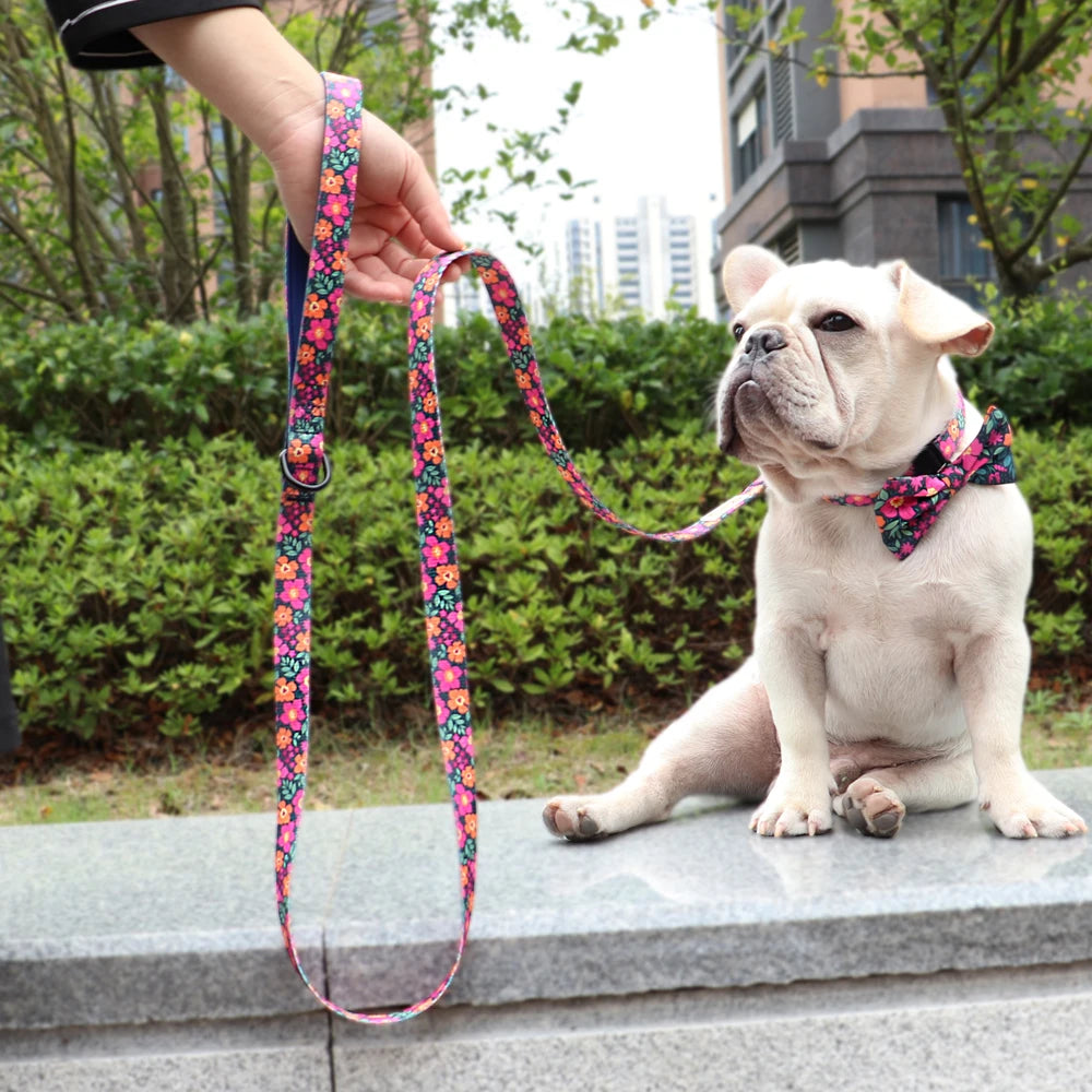 Soft Padded Leash