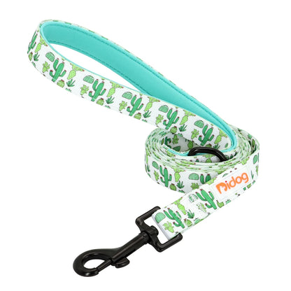 Soft Padded Leash